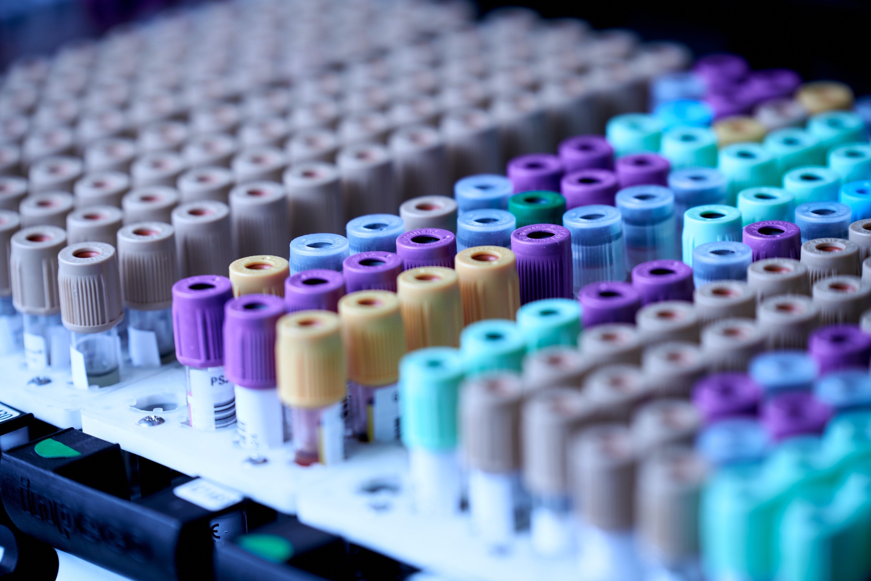LIVVE Advanced Blood Test
